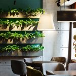 Un restaurante sostenible y verde